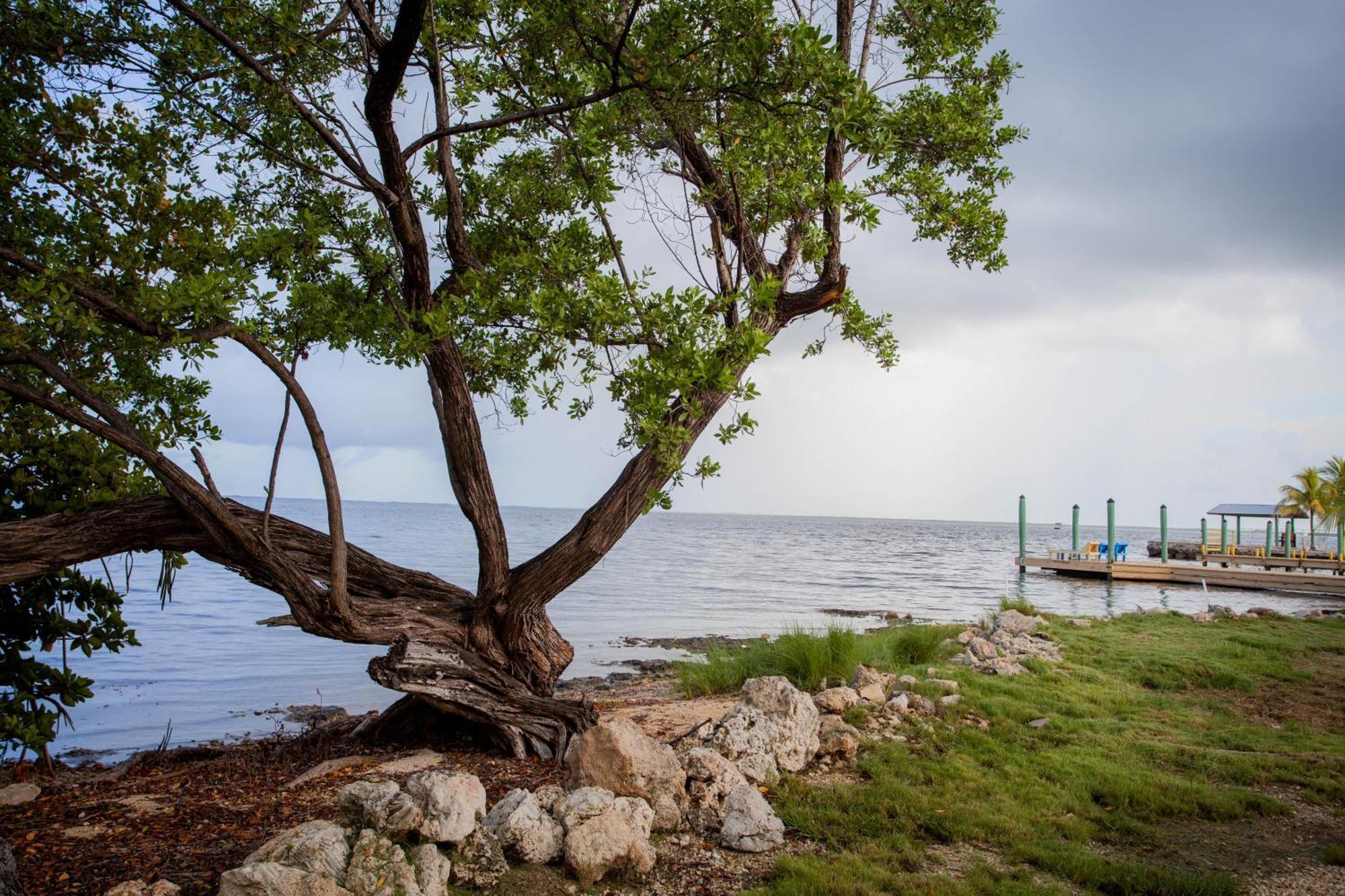 Kings Kamp Hotel Key Largo Luaran gambar