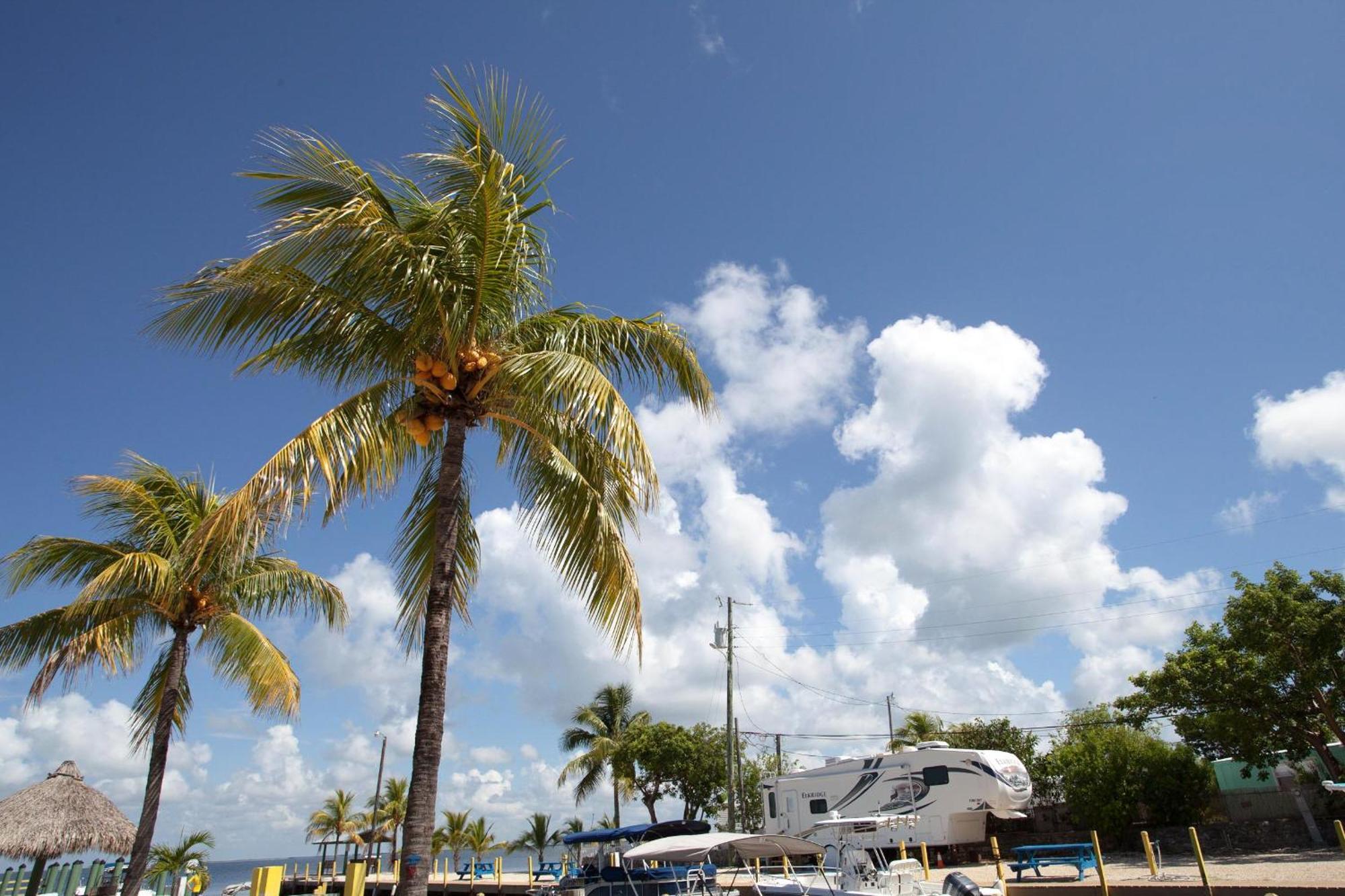 Kings Kamp Hotel Key Largo Luaran gambar